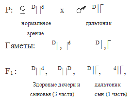 дальтонизм