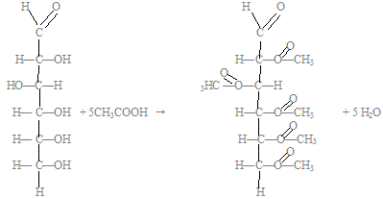 образование сложного эфира из глюкозы