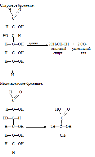 спиртовое брожение, молочнокислое брожение