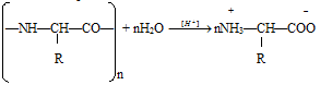 белки, аминокислоты