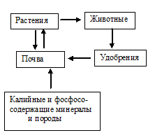 калий,  фосфор в природе