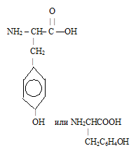 tyrosine, τυροσίνη, 酪氨酸 